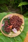 Nui gạo lứt đỏ hữu cơ Hoa Sữa