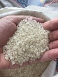 Gạo Séng Cù tròn - Đặc sản Mường Lò Yên Bái