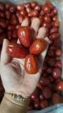 Táo đỏ Tân Cương 10kg Giá sỉ
