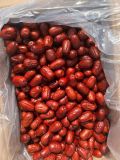 Táo đỏ Tân Cương 10kg Giá sỉ