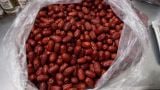 Táo đỏ Tân Cương 10kg Giá sỉ