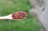 Trà gạo lứt đỏ dưỡng sinh