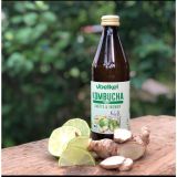 Trà kombucha hữu cơ Voelkel