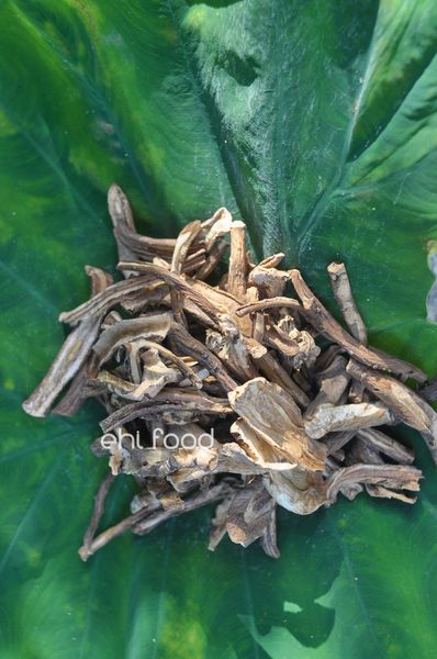 Trà rễ bồ công anh