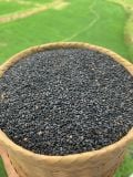 Hạt mè (vừng) đen thuần chủng
