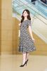 DDC2563DENI