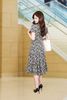 DDC2563DENI
