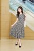 DDC2563DENI