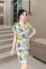 DP0163HVA