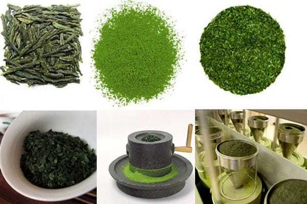 Các công đoạn làm trà Matcha