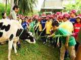 SUNNY FARM BẾN LỨC - LONG AN