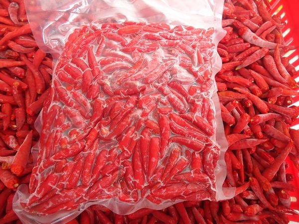  Ớt đỏ đông lạnh (Frozen Red Chili) 