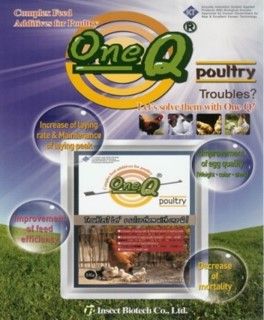  ONE Q POULTRY – SẢN PHẨM PHỤ GIA THỨC ĂN GIA CẦM CHỨA ARAZYME – ENZYME PHÂN GIẢI PROTEIN 