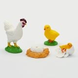 Vòng đời tự nhiên - Gà trống lớn lên như thế nào?DK81255