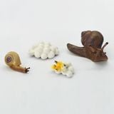 Vòng đời tự nhiên - Ốc sên lớn lên như thế nào?DK81261