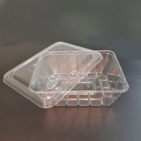 Hộp nhựa PET - 300 - Hộp Nhựa Đựng Thức Ăn, Trái Cây