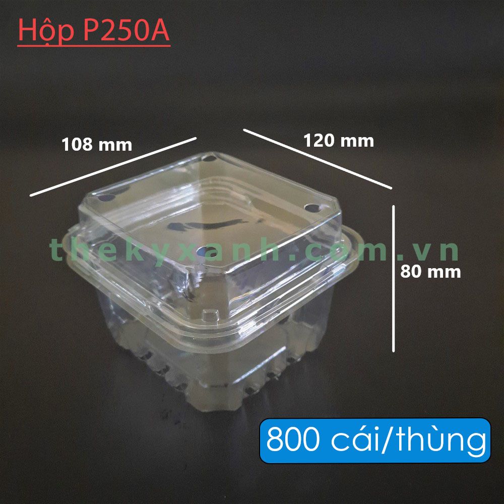  Hộp Nhựa P250A / Hộp đựng dâu, cherry, cà chua bi 