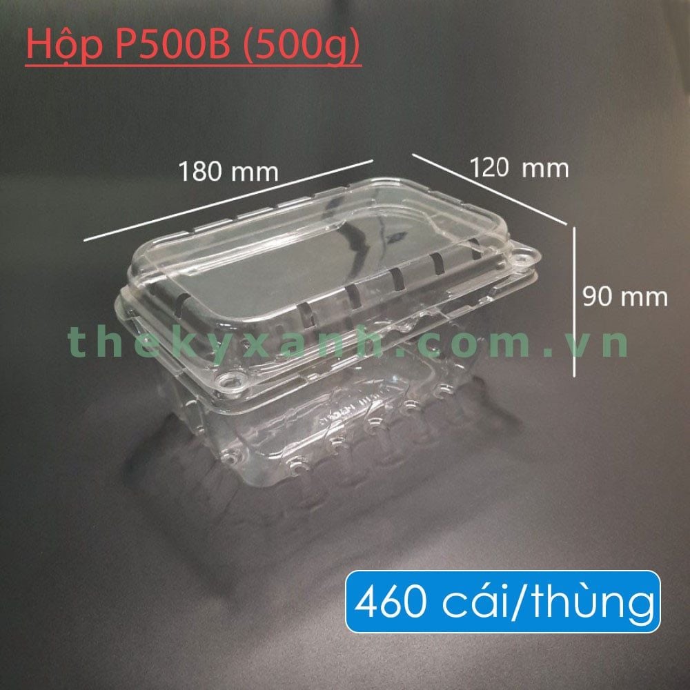  Hộp Nhựa P500B (500g) / Hộp đựng Cherry, Kiwi... 