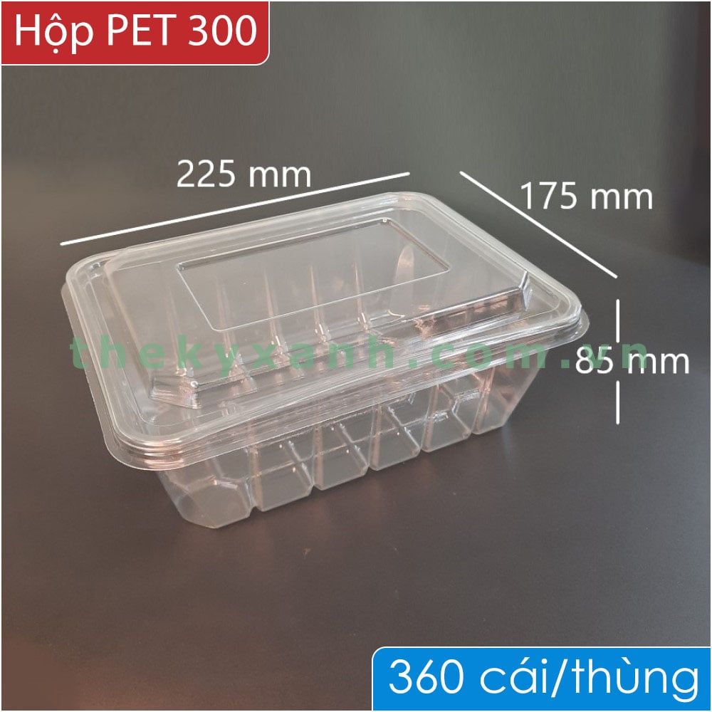  Hộp nhựa PET - 300 - Hộp Nhựa Đựng Thức Ăn, Trái Cây 