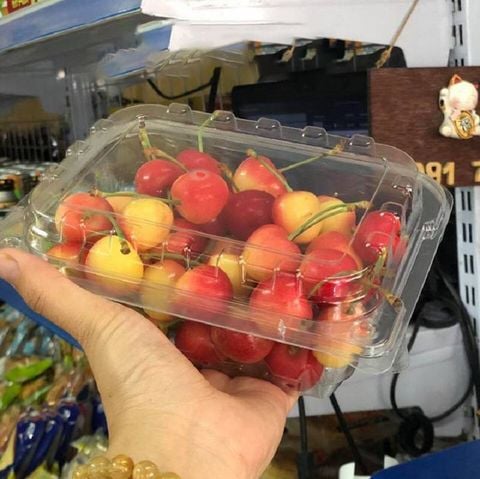 Hộp Nhựa JB-S1 Đựng Trái Cây, Rau Củ Quả, Rong Nho