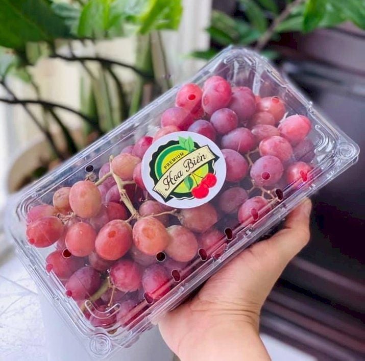  Hộp Nhựa P1000A - 1kg / Hộp đựng Cherry, Nhãn, Nho,... 