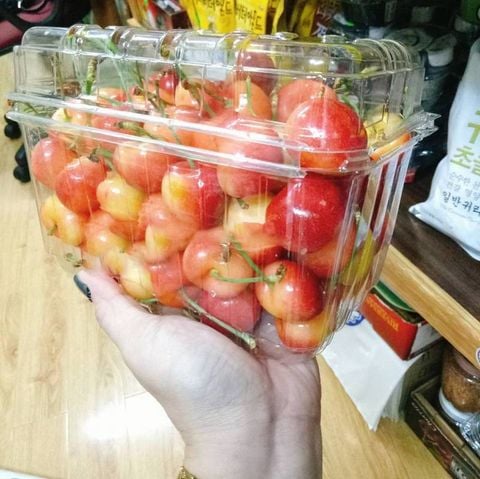 Hộp Nhựa P1000B / Chuyên đựng các loại trái cây: thanh long, xoài, táo...