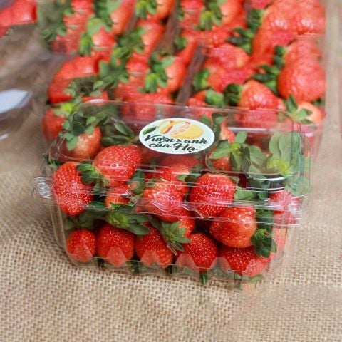 Hộp Nhựa P500B (500g) / Hộp đựng Cherry, Kiwi...