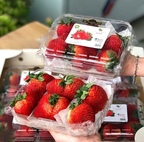 Hộp Nhựa P500CX Đựng Trái Cây, Rau Củ Quả