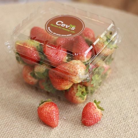 Hộp Nhựa P500D (500g) / Hộp đựng trái cây: táo, nho...