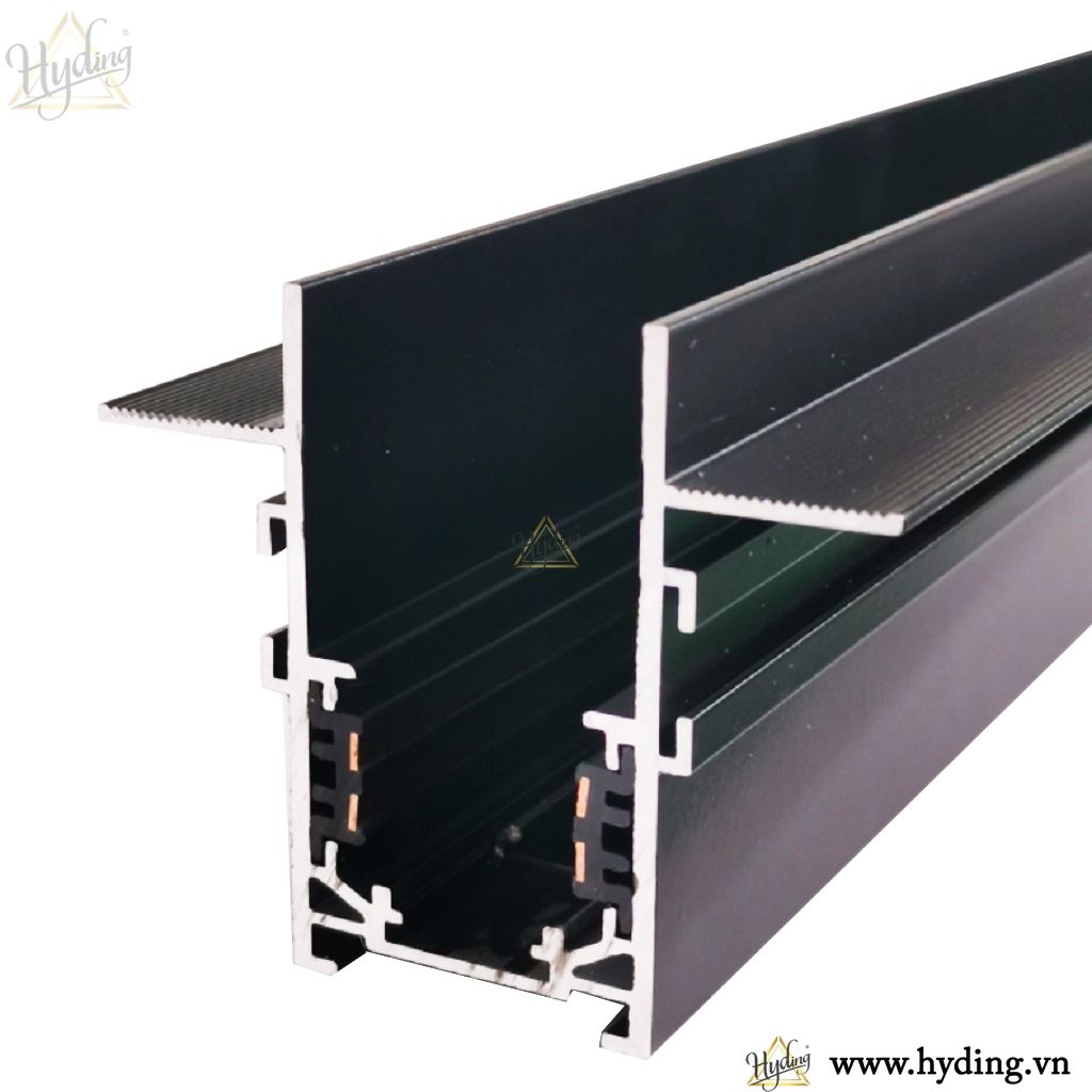 Ray âm nam châm từ tính