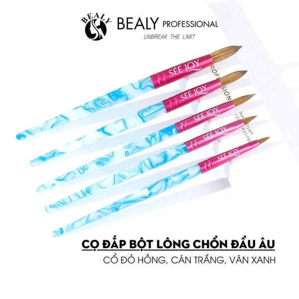  CỌ ĐẮP BỘT LÔNG CHỒN ĐẦU ÂU CỔ ĐỎ HỒNG CÁN TRẮNG VÂN XANH 
