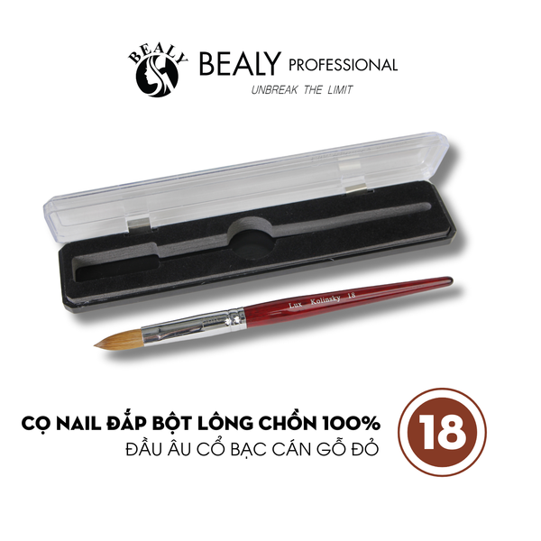  CỌ NAIL ĐẮP BỘT LÔNG CHỒN ĐẦU ÂU CỔ BẠC CÁN GỖ ĐỎ 