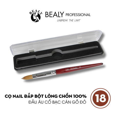  CỌ NAIL ĐẮP BỘT LÔNG CHỒN ĐẦU ÂU CỔ BẠC CÁN GỖ ĐỎ 