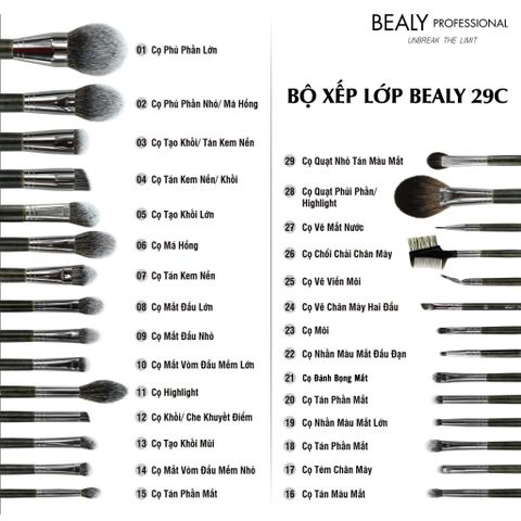  BỘ CỌ TRANG ĐIỂM XẾP LỚP 29C BEALY 