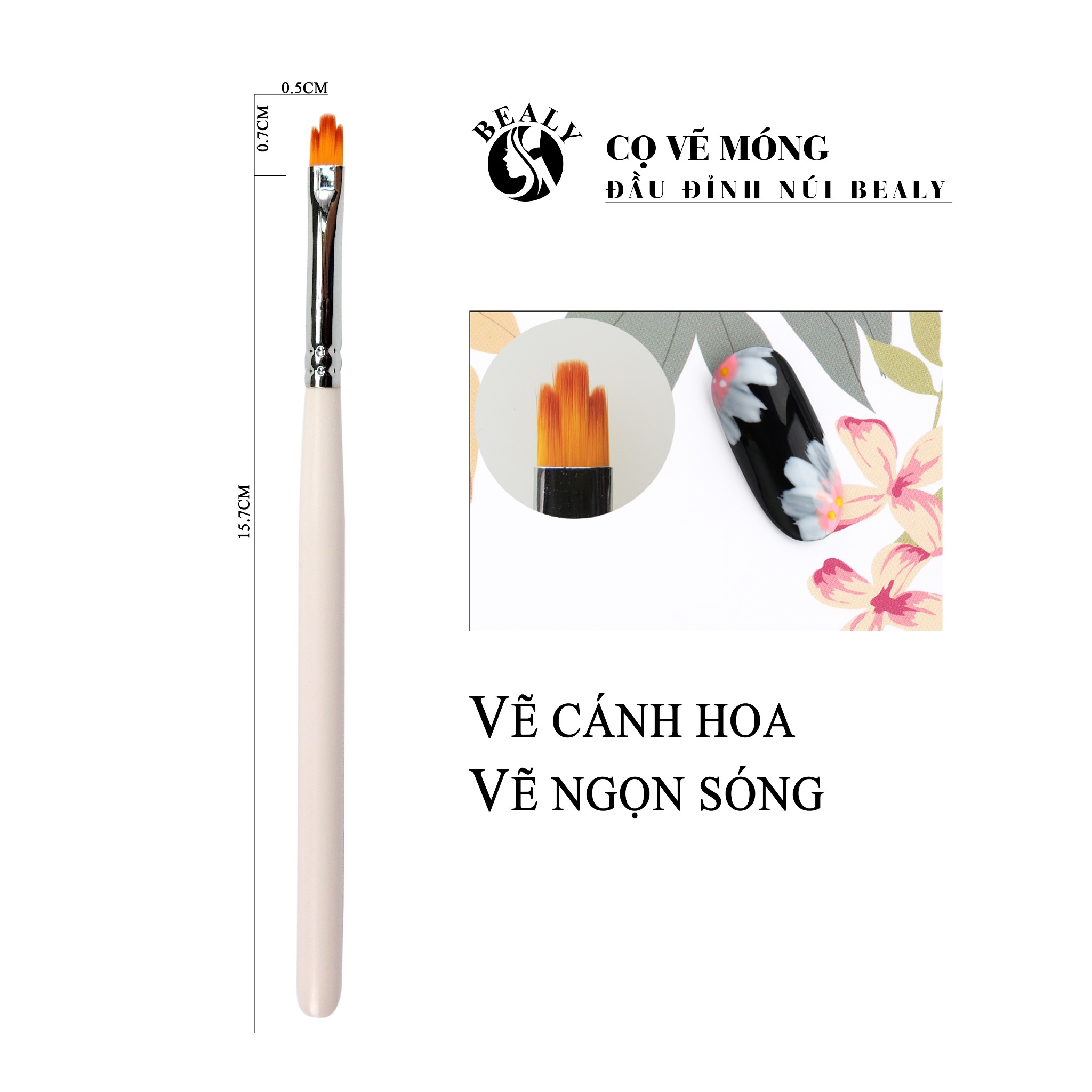 CỌ MÓNG VẼ ĐẦU ĐỈNH NÚI BEALY