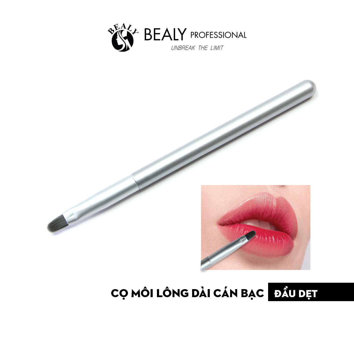 CỌ MÔI LÔNG DÀI CÁN BẠC