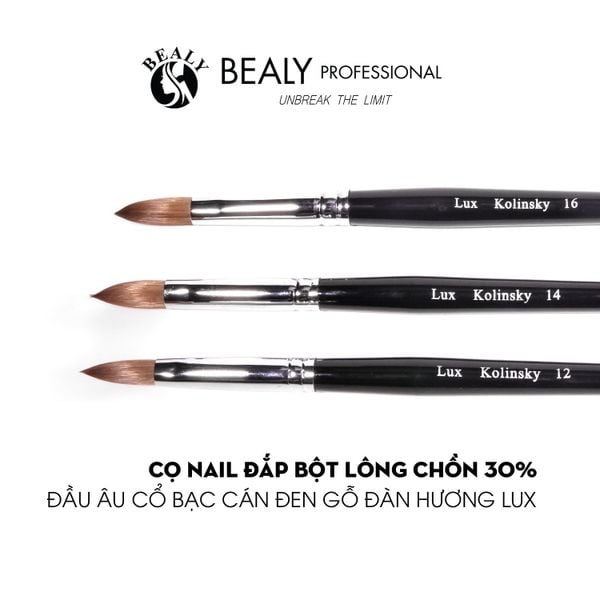  CỌ NAIL ĐẮP BỘT LÔNG CHỒN 30% ĐẦU ÂU CỔ BẠC CÁN ĐEN GỖ ĐÀN HƯƠNG LUX 