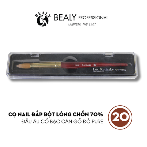  CỌ NAIL ĐẮP BỘT LÔNG CHỒN ĐẦU ÂU CỔ BẠC CÁN GỖ ĐỎ 