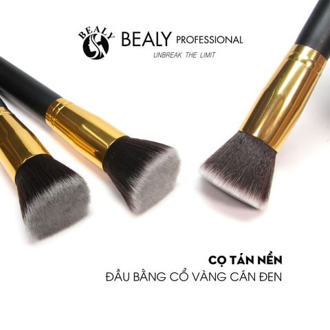  CỌ TÁN KEM NỀN ĐẦU BẰNG 