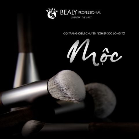  BỘ CỌ TRANG ĐIỂM XẾP LỚP BEALY 30C  MỘC - THẾ HỆ 4 (VER.4) 