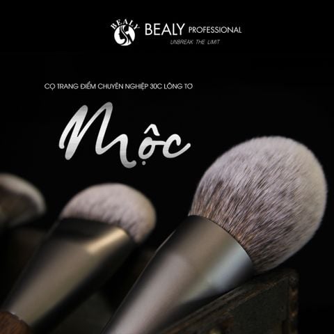  BỘ CỌ TRANG ĐIỂM XẾP LỚP BEALY 30C  MỘC - THẾ HỆ 4 (VER.4) 