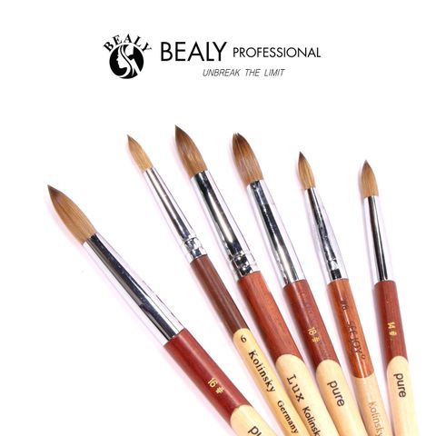  CỌ ĐẮP BỘT LÔNG CHỒN ĐẦU ÂU CỔ BẠC CÁN GỖ 2 MÀU PURE 