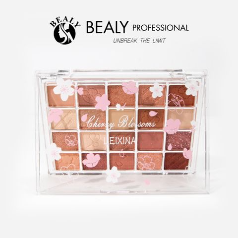  BẢNG PHẤN MẮT 20 Ô LEIXINA 