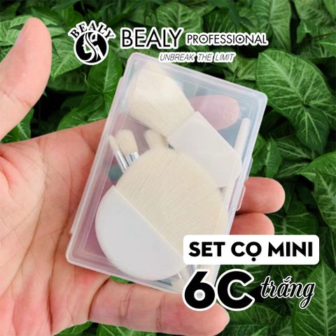  SET CỌ MINI 6C_TRẮNG 