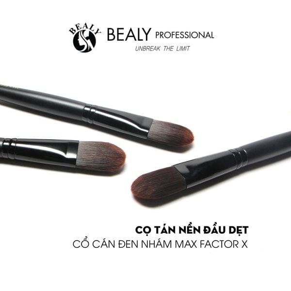  CỌ TÁN NỀN ĐẦU DẸT 