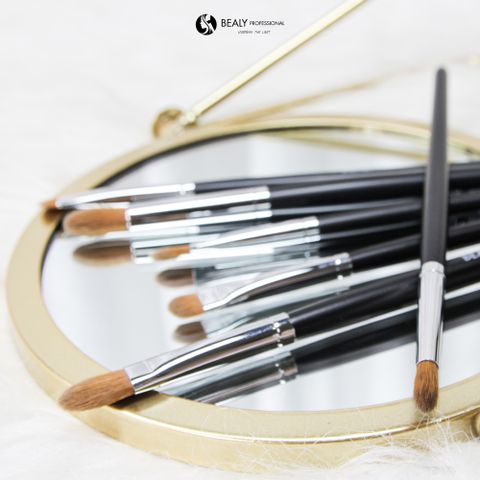 BỘ CỌ TÁN PHẤN MẮT MÔ PHỎNG LÔNG SÓC BEALY 6C 