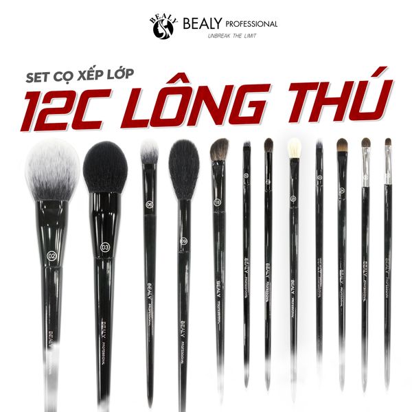  SET CỌ XẾP LỚP BEALY LT12C 