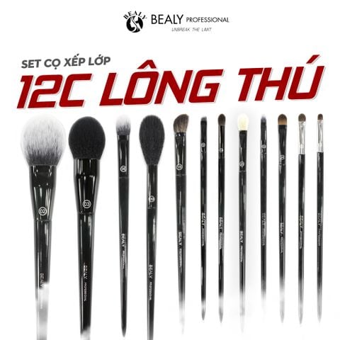  SET CỌ XẾP LỚP BEALY LT12C 