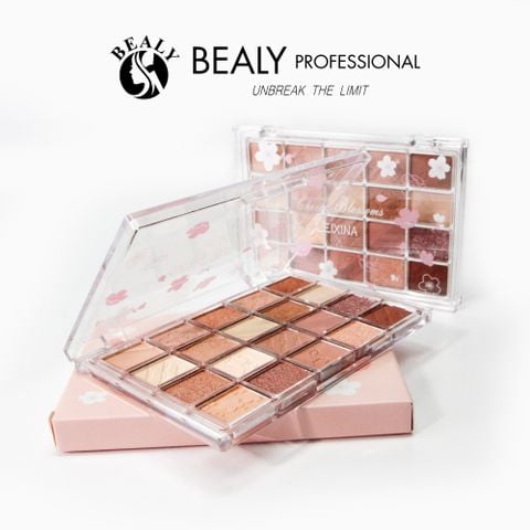  BẢNG PHẤN MẮT 20 Ô LEIXINA 