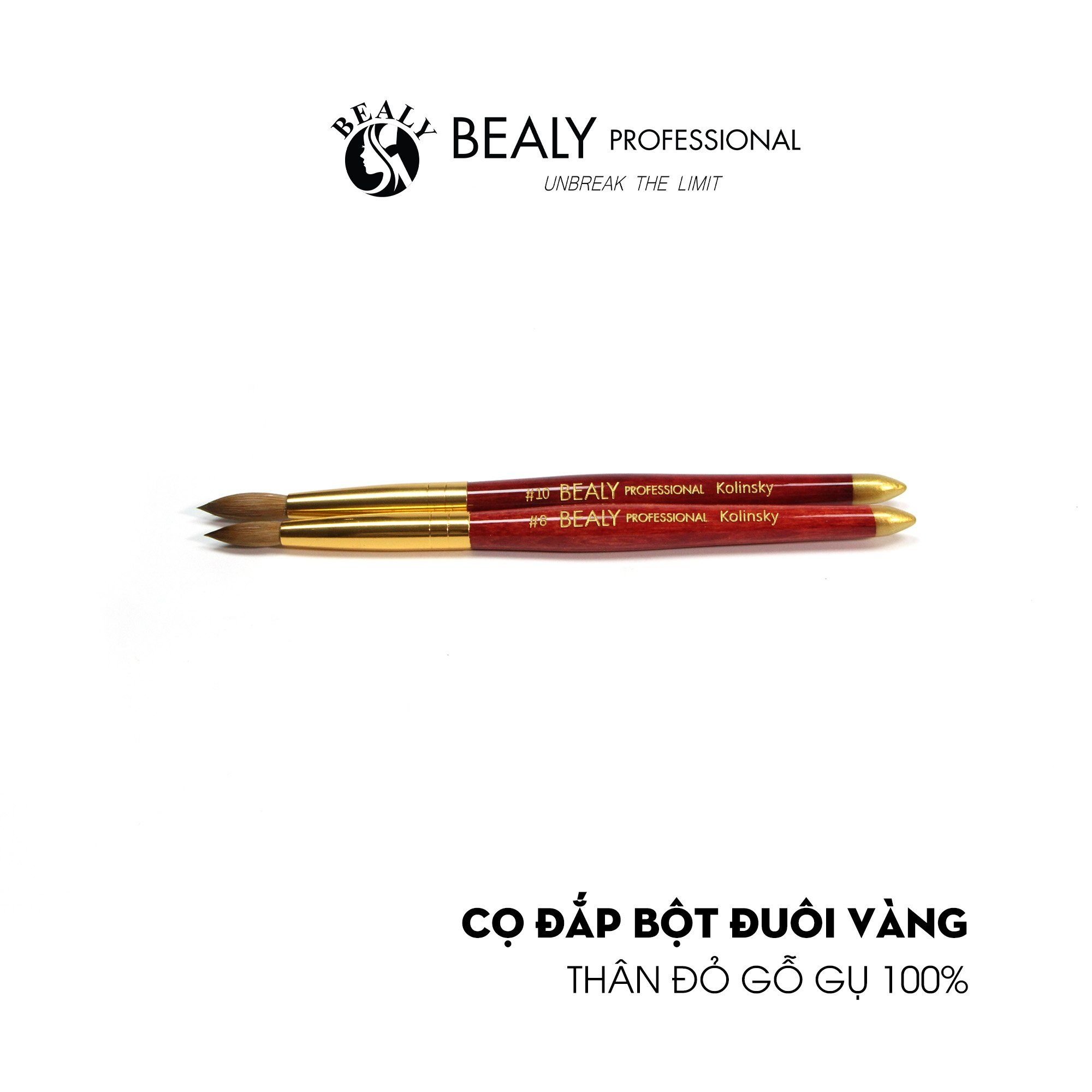  CỌ ĐẮP BỘT LÔNG VÀNG THÂN ĐỎ GỖ GỤ 100% LÔNG CHỒN 